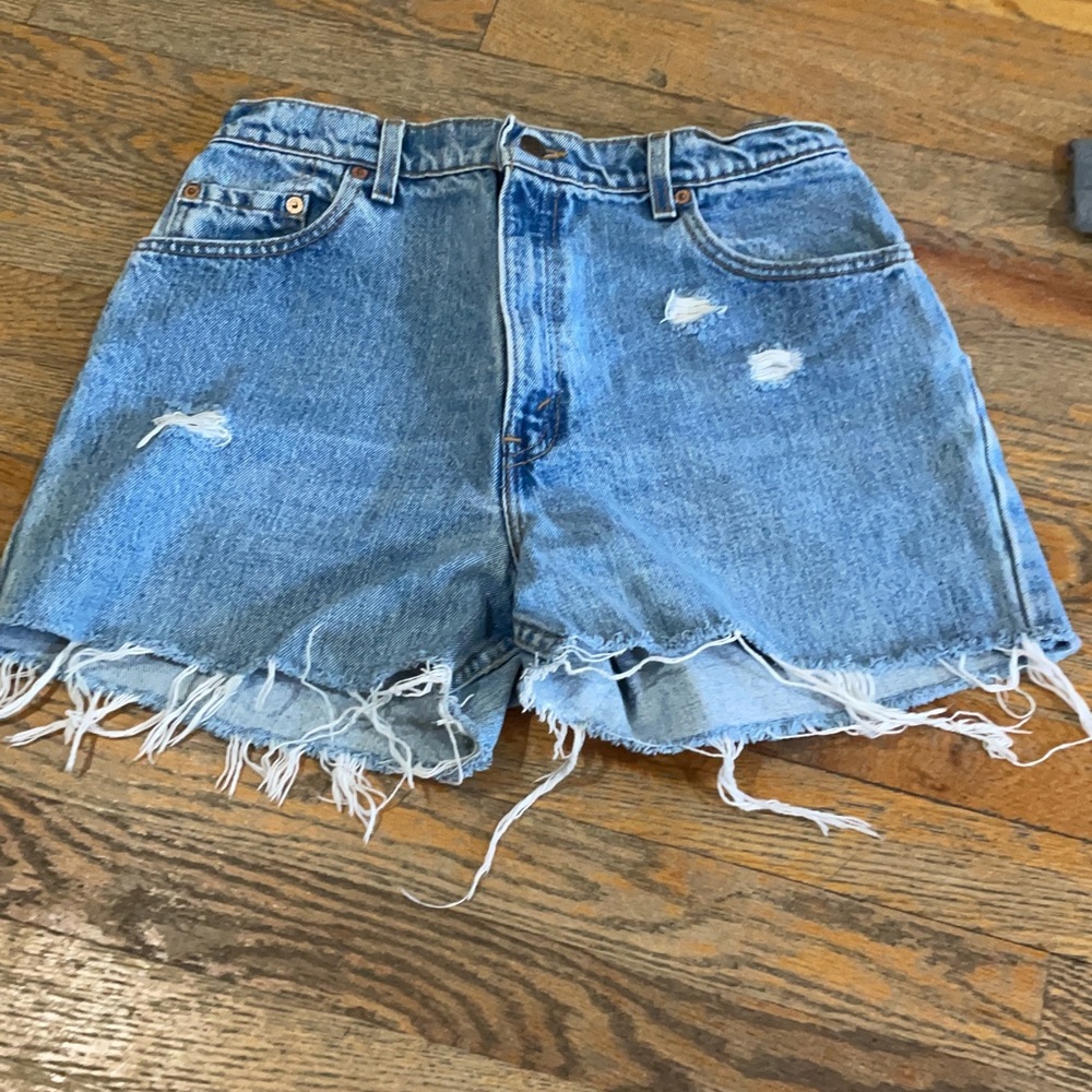 The Vintage Twin Jeanius Levi's Shorts